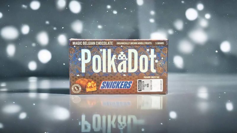 polkadot