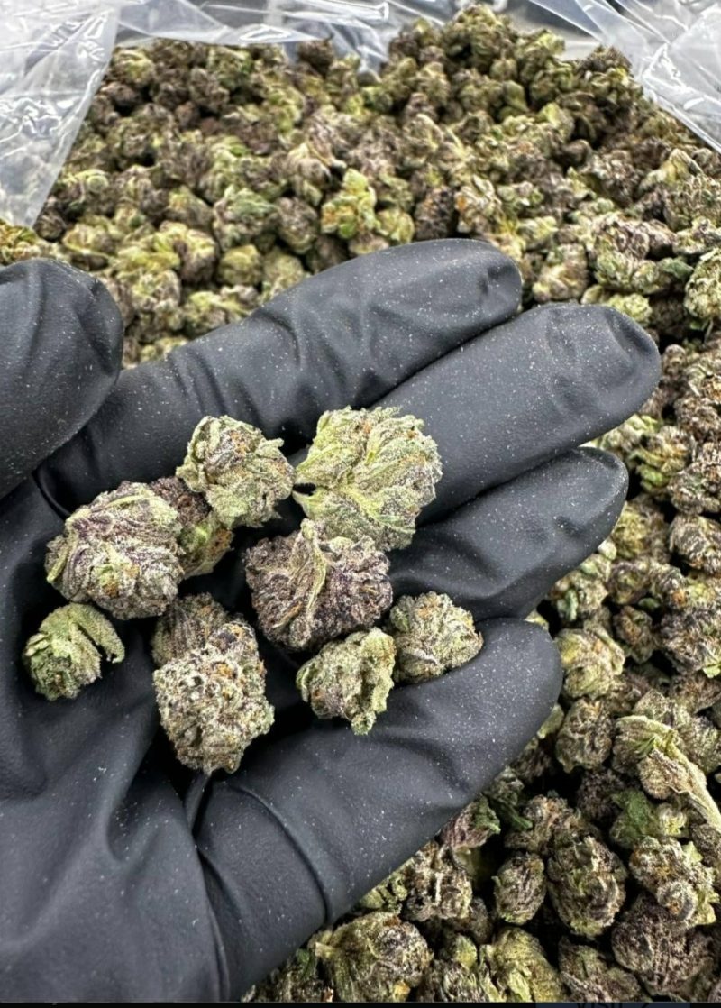 100g ZaZa Tier Flower AAA+++ GRADE **ESCROW**