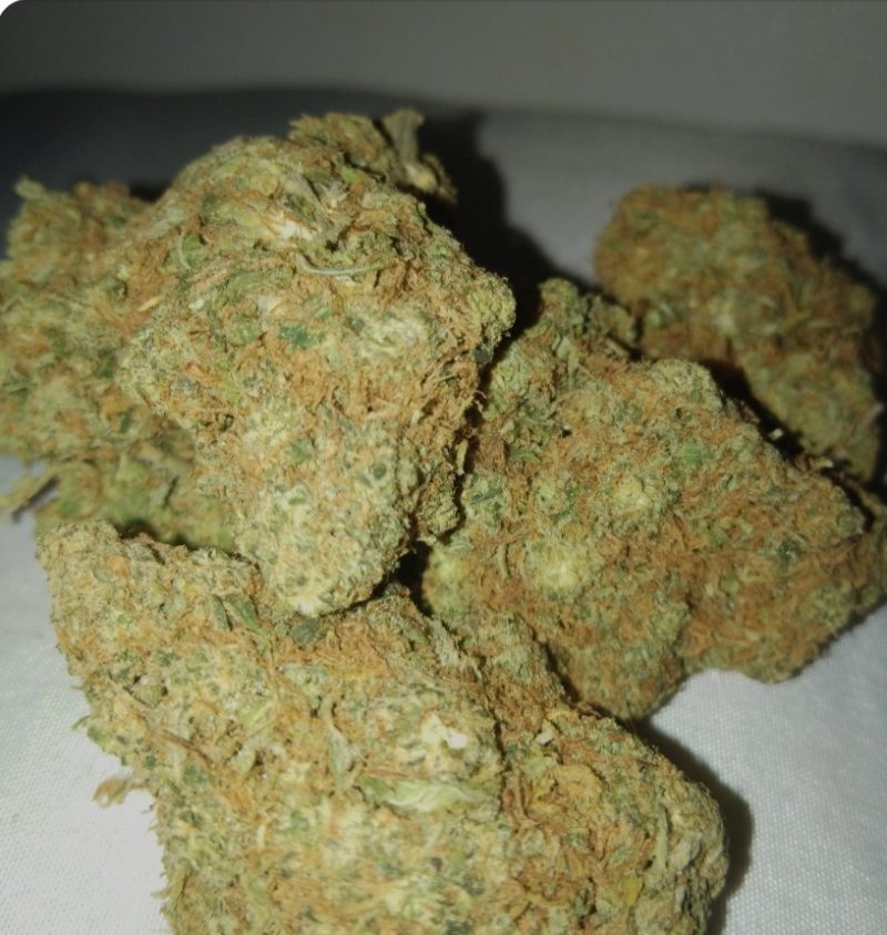 oz Loud Dream✓✓ Grade A++++