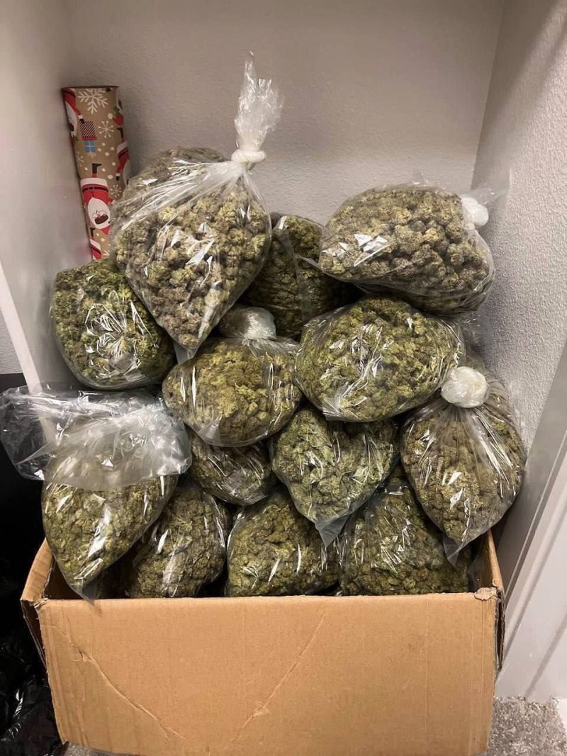 PROMO SALE'S CALI'S BEST 2POUNDS MIX STRAIN. $3000