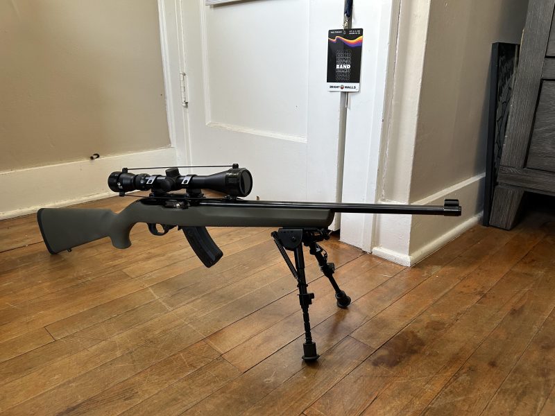 RUGER 10/22 GUN AVAILABLE